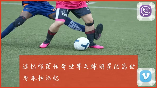 追忆绿茵传奇世界足球明星的离世与永恒记忆