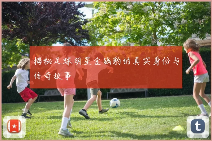 揭秘足球明星金钱豹的真实身份与传奇故事
