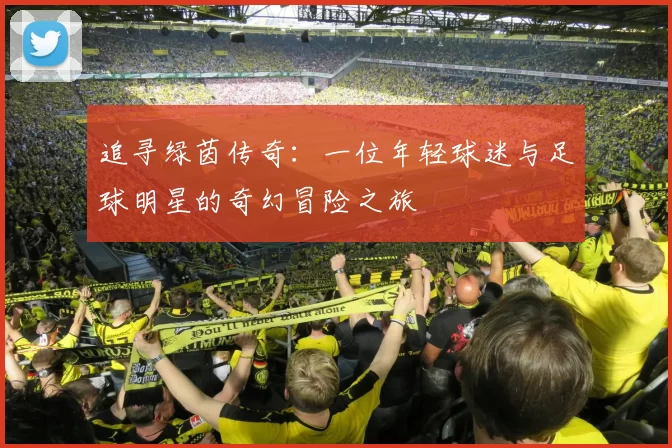 追寻绿茵传奇：一位年轻球迷与足球明星的奇幻冒险之旅