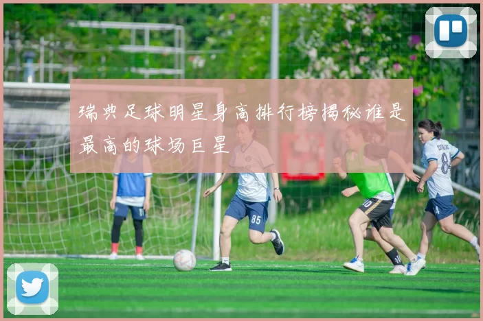 瑞典足球明星身高排行榜揭秘谁是最高的球场巨星