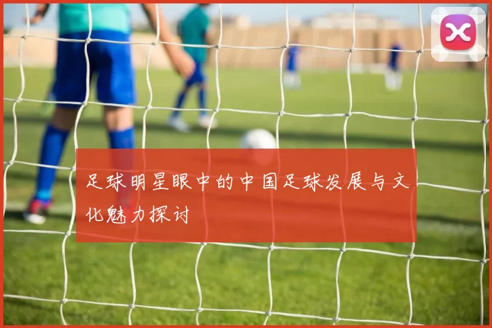 足球明星眼中的中国足球发展与文化魅力探讨