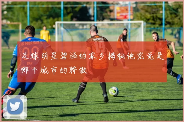 足球明星碧涵的家乡揭秘他究竟是哪个城市的骄傲