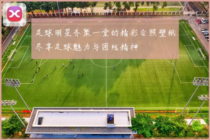足球明星齐聚一堂的精彩合照壁纸尽享足球魅力与团结精神