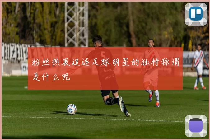 粉丝热衷追逐足球明星的独特称谓是什么呢